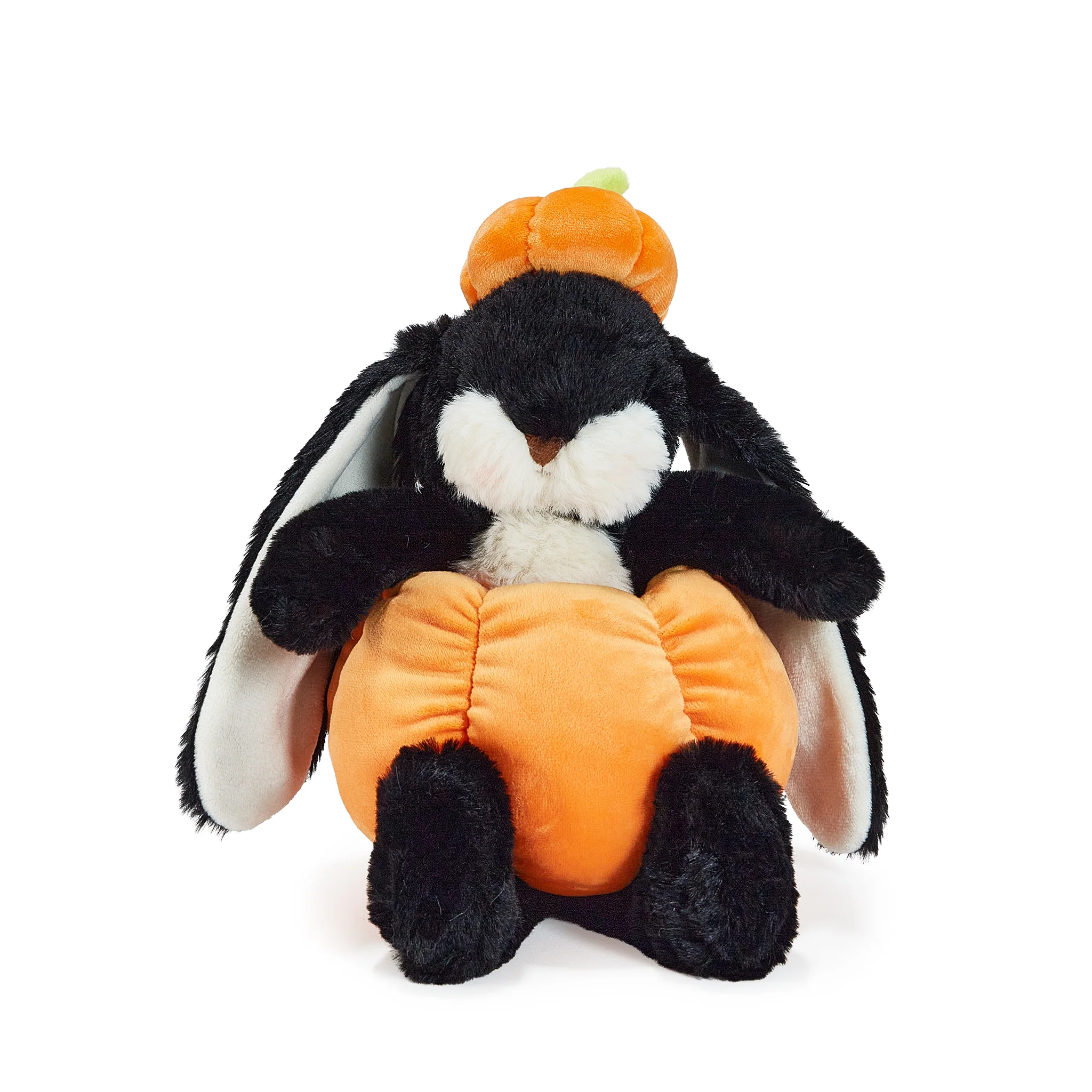 Jack O’ Lantern Bunny