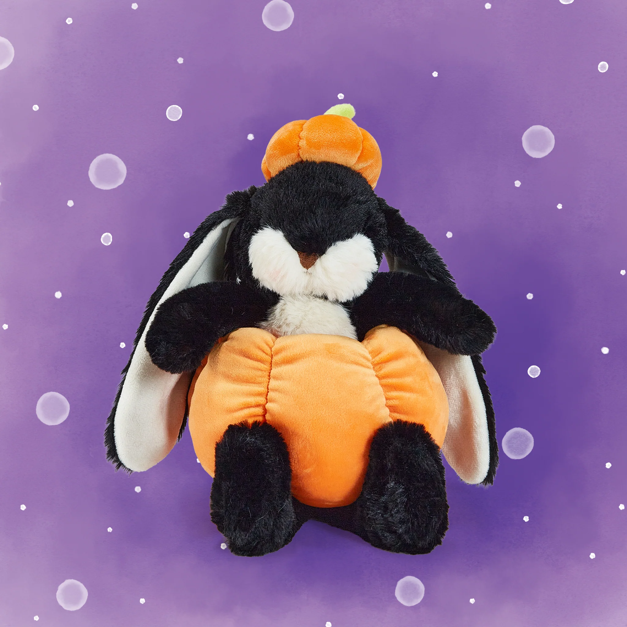 Jack O’ Lantern Bunny - Image 2