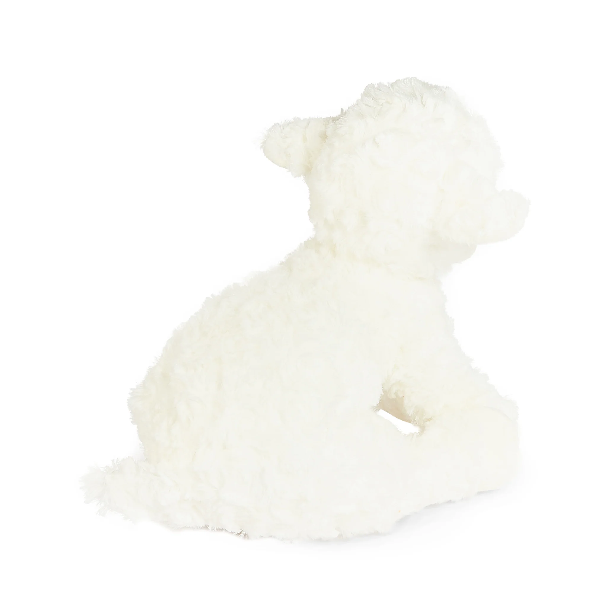 Kiddo the Lamb - Image 4