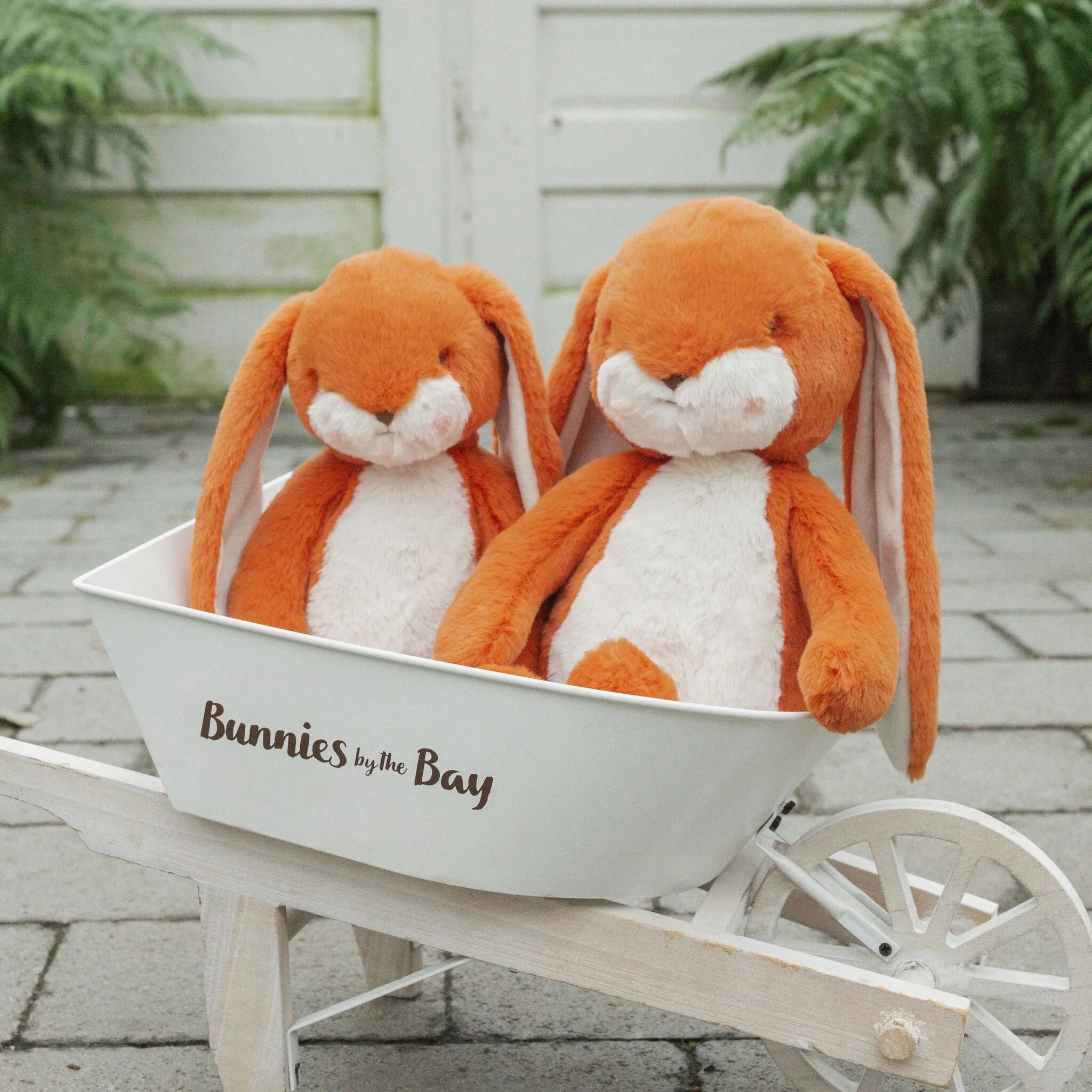 Little 12" Floppy Nibble Bunny - Carrot - Image 7