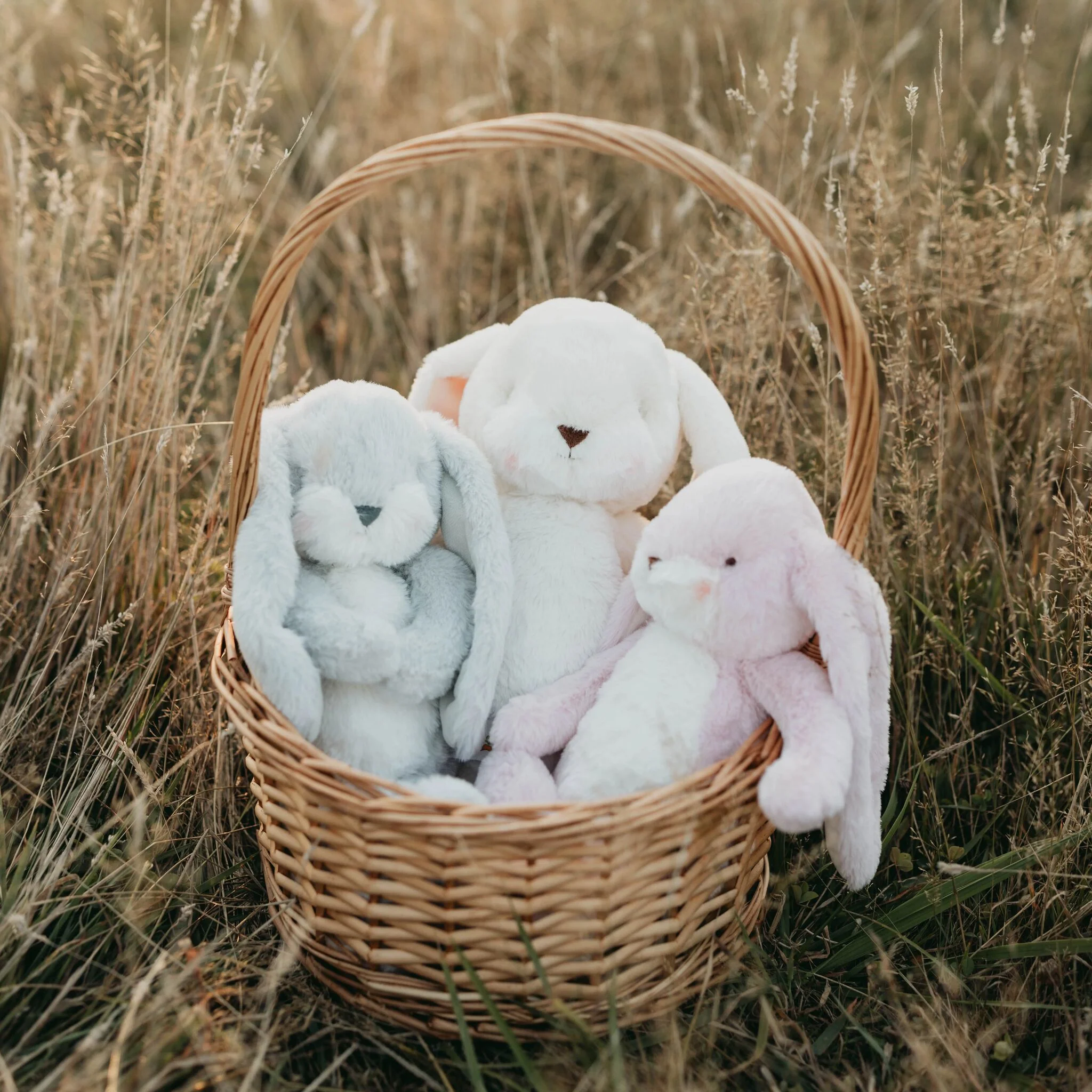 Little 12" Floppy Nibble Bunny - Pink - Image 7