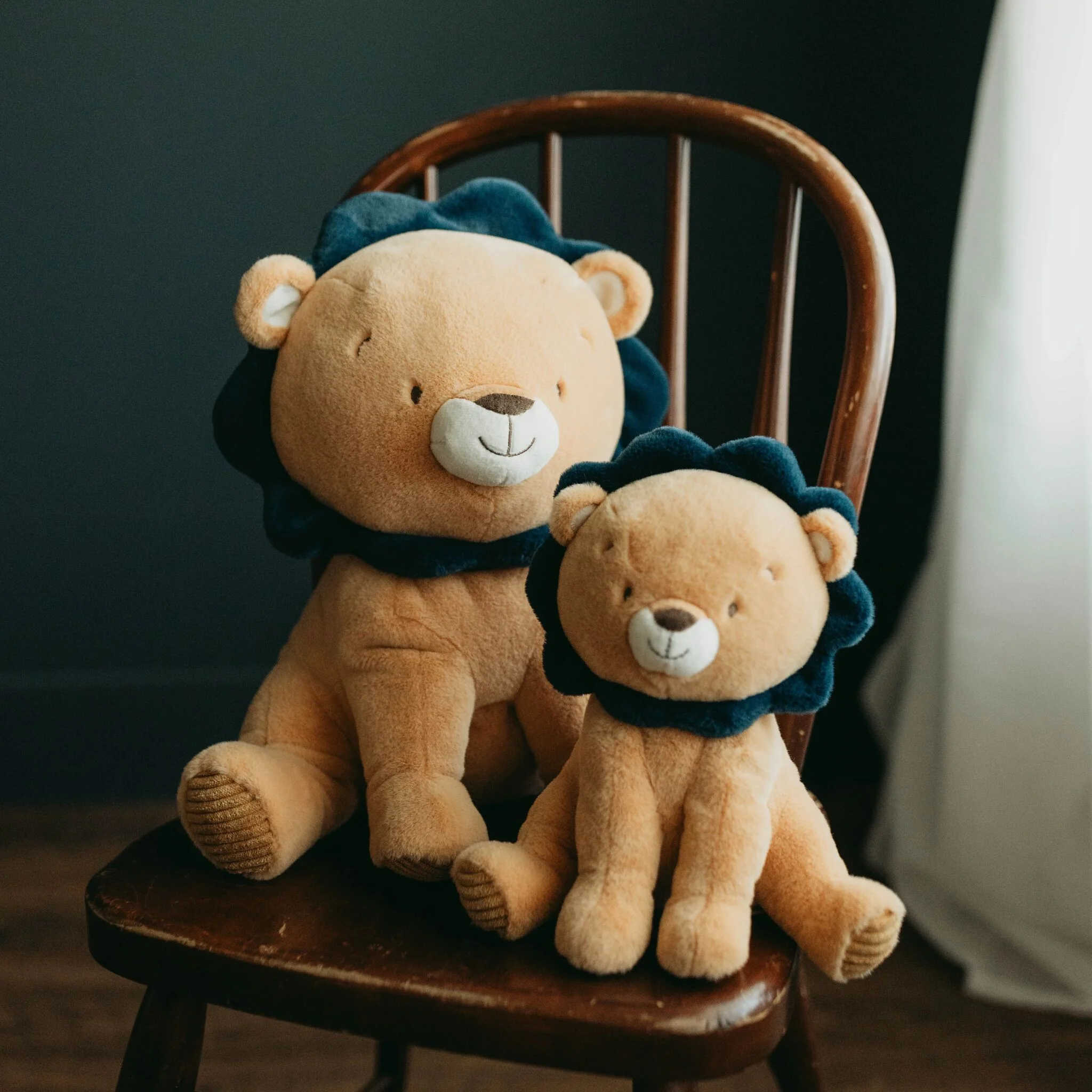 Little Lenny the Lion - Image 5