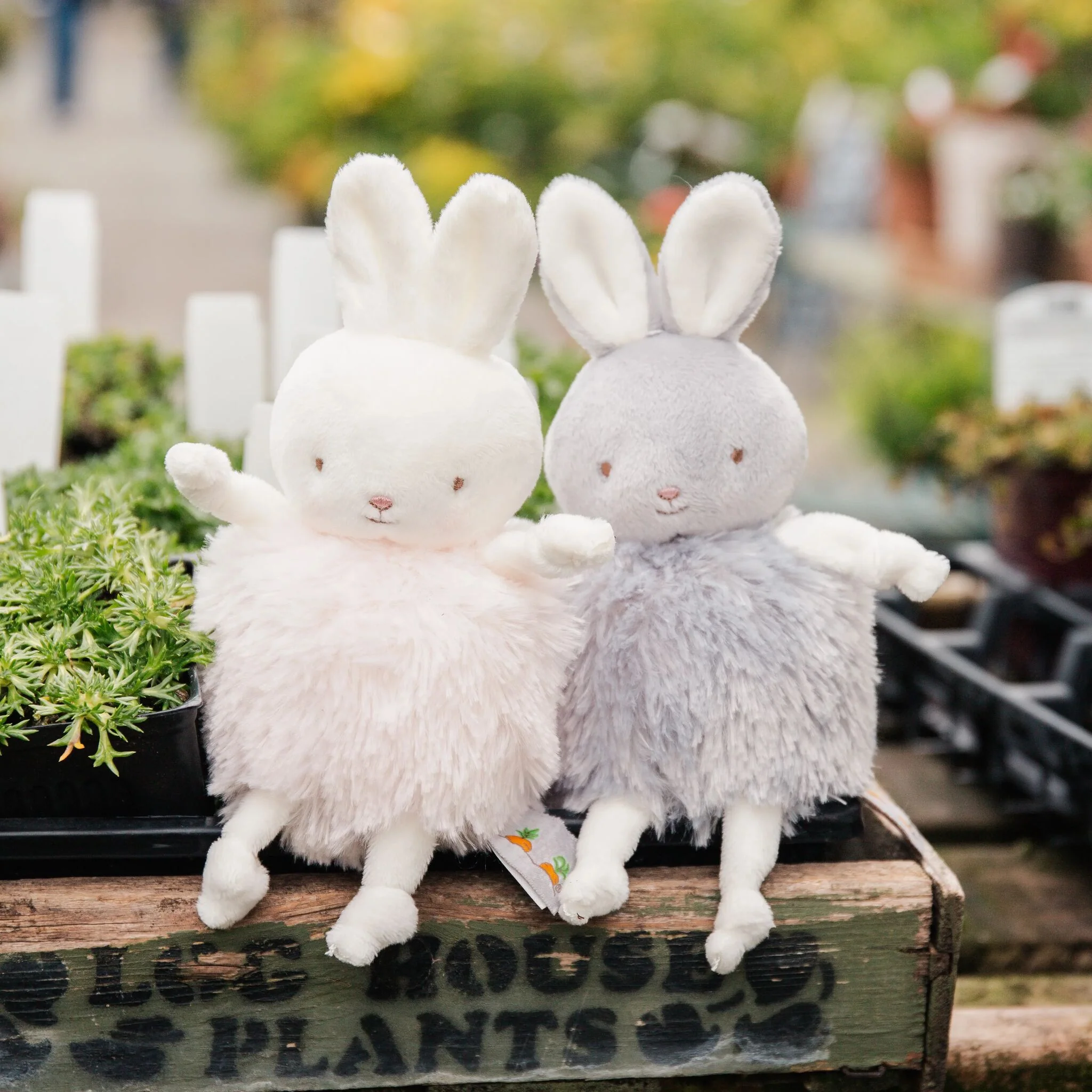 Roly Poly Blossom- Pink Bunny - Image 2