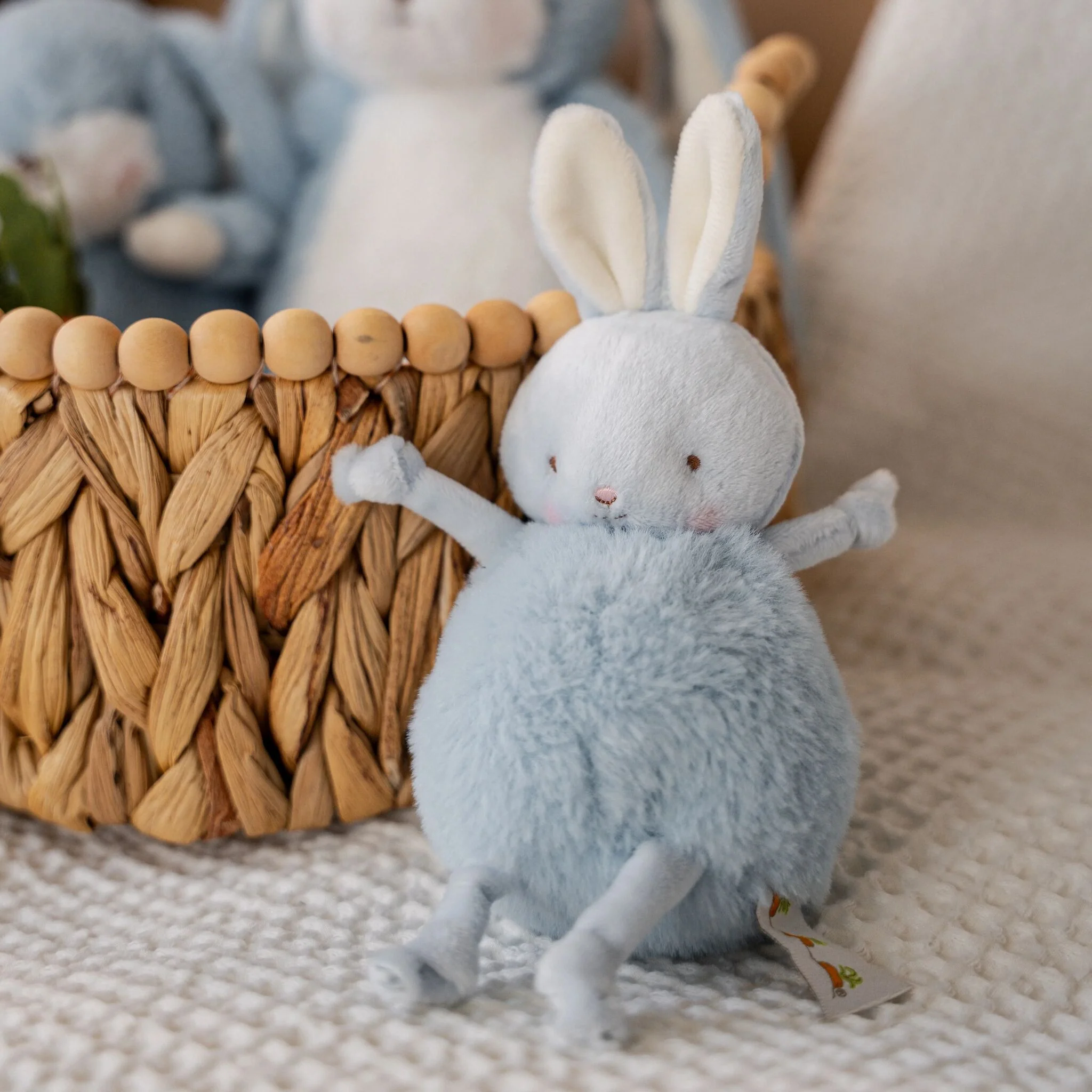 Roly Poly - Maui Blue Bunny - Image 2