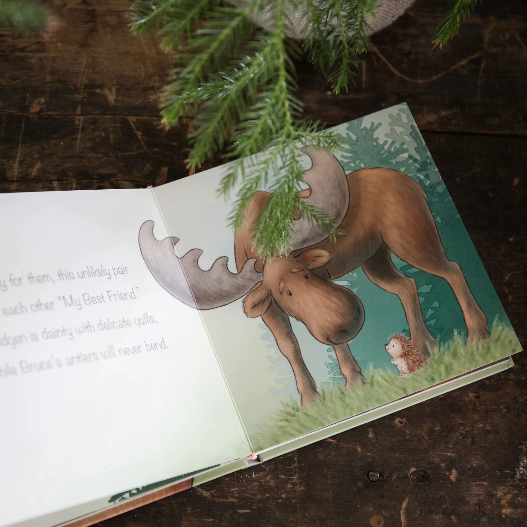 Smidgen and Bruce A Big Friendship - Board Book - Image 2