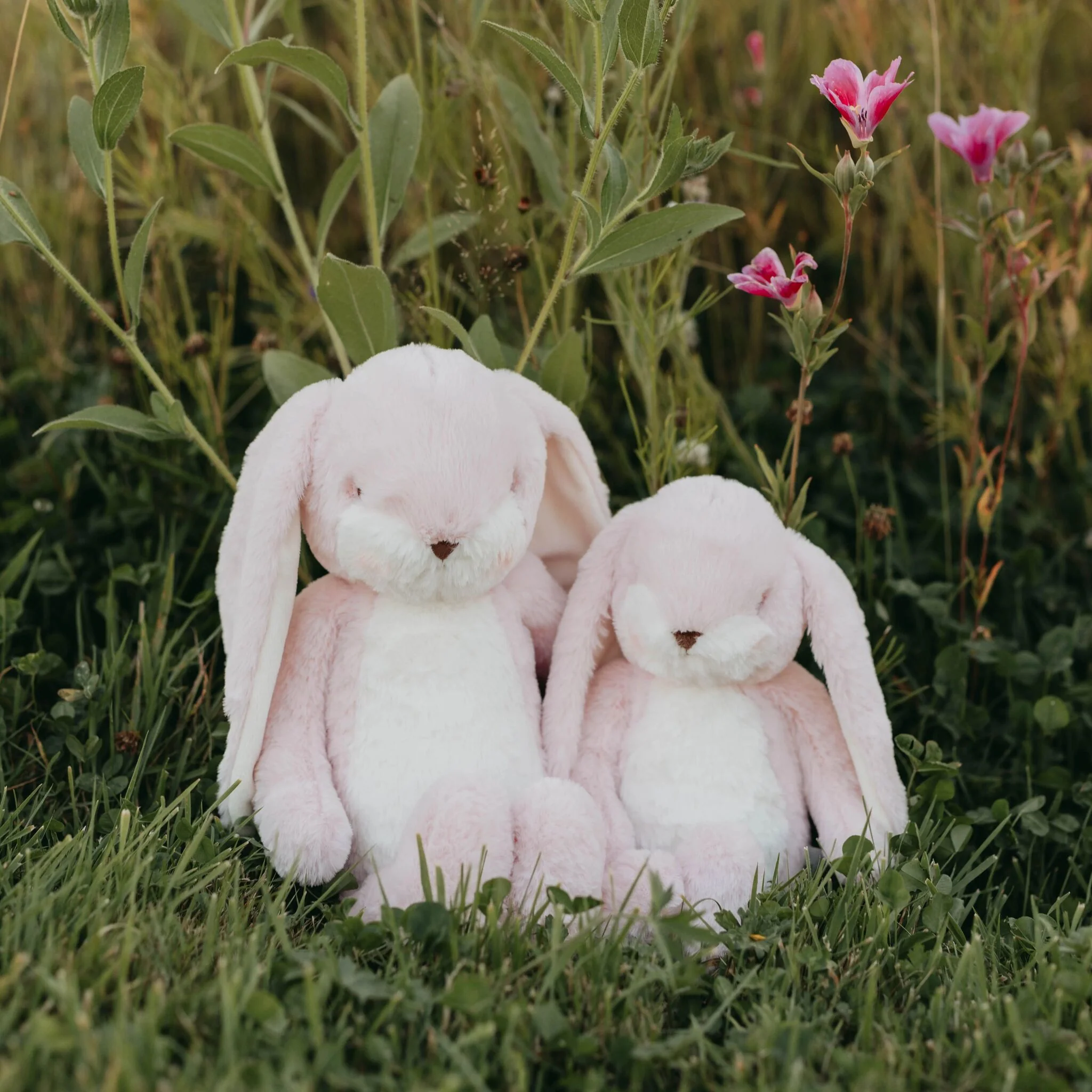 Sweet 16" Floppy Nibble Bunny – Pink - Image 7