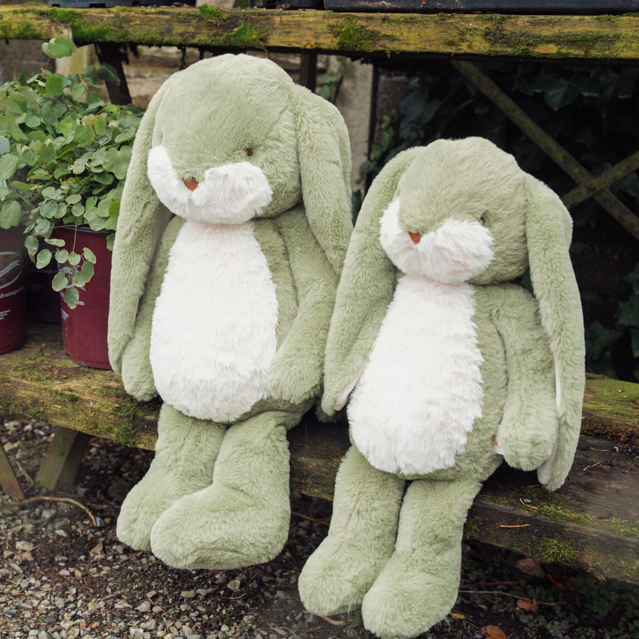 Sweet 16" Floppy Nibble Bunny – Pistachio - Image 6