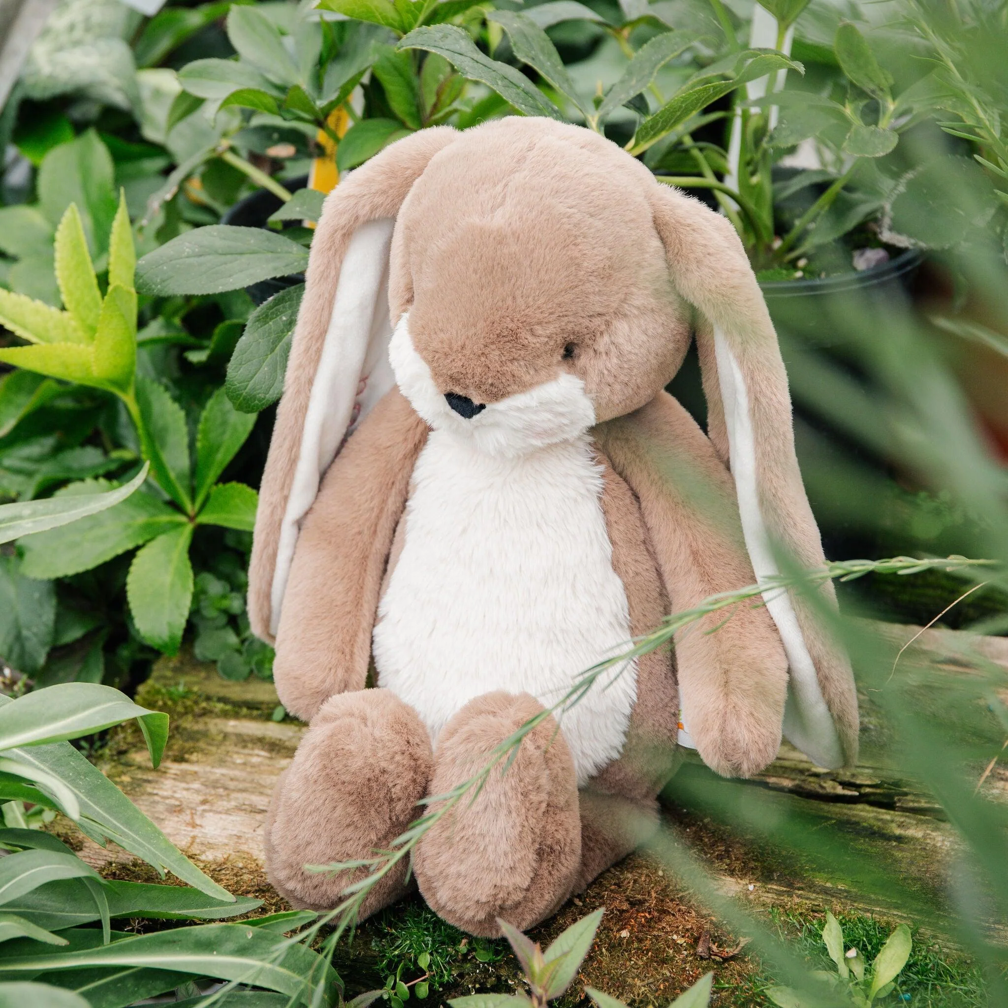Sweet 16" Floppy Nibble Bunny - Ginger Snap - Image 6