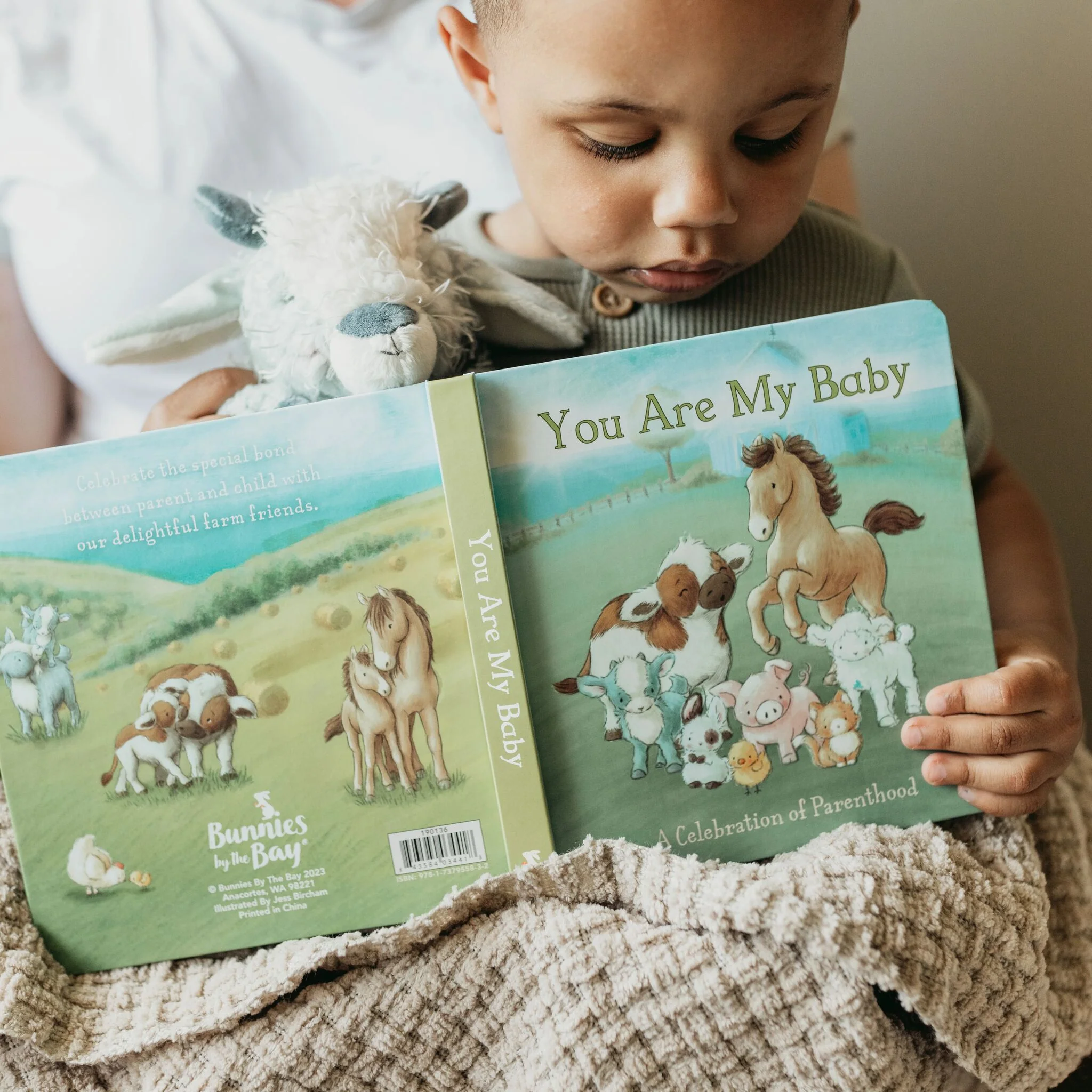 Wee Hammie Book Bundle - Image 3